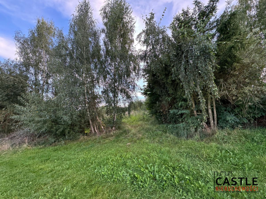 Działka na sprzedaż Chmielno Chmielno - zdjęcie 4