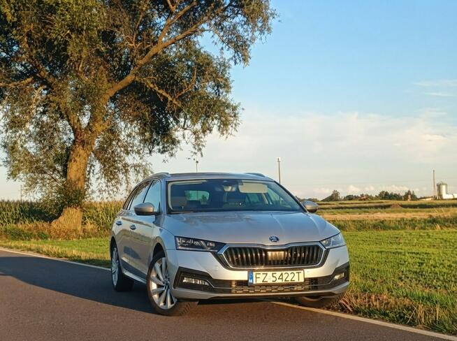 Skoda Octavia 1.4 hybryda plug-in 204 km salon PL FV Słupca - zdjęcie 6