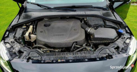 VOLVO V60 2.0 eDrive (120 KM) MOMENTUM Szczecin - zdjęcie 10