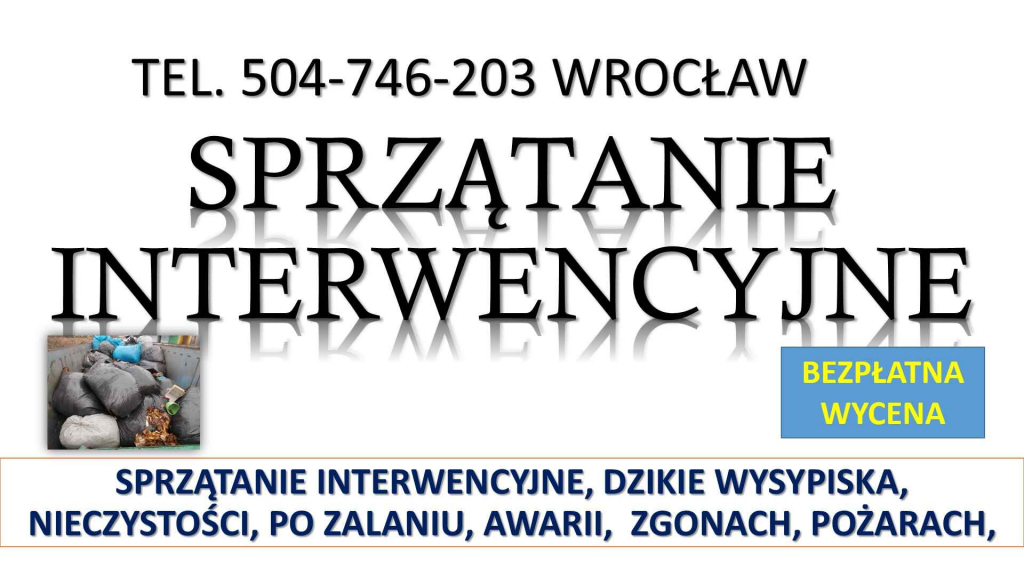 Sprzątanie interwencyjne, t. 504746203, Wrocław, z podrzuconych śmieci Psie Pole - zdjęcie 4