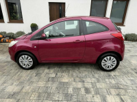 Ford KA Bardzo zadbana - oryginalny przebieg - 1 WŁAŚCICIEL !!! Poznań - zdjęcie 4