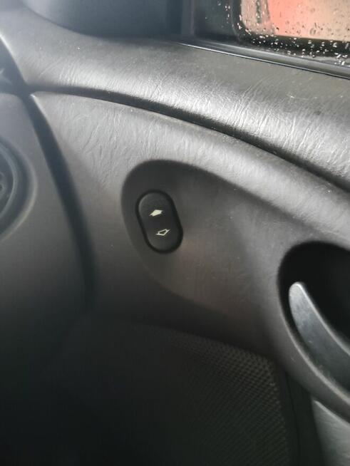 Tania Foczka Brzyków - zdjęcie 8