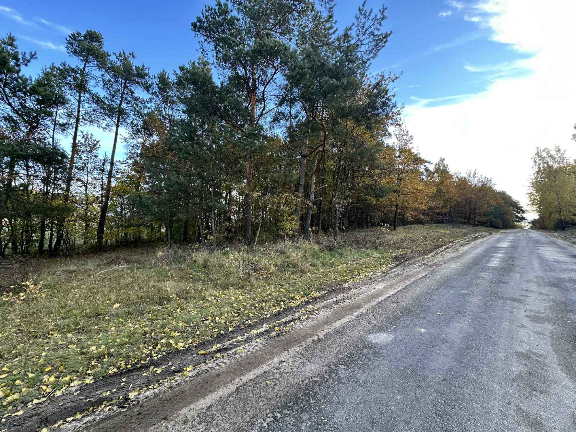 Działka budowlana na sprzedaż 4800 m 2, Gmina Brójce, Pałczew Pałczew - zdjęcie 1