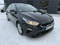 Kia Cee'd 1.6 CRDi 115km M! Salon Polska! Serwis ASO! Kamera ! Pęcice - zdjęcie 11