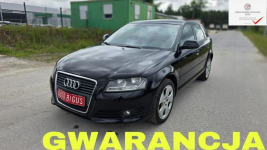 Audi A3 Climatronic   super stan nowy rozrząd