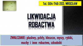 Rybiki zwalczanie, tel 504-746-203, dezynfekcja rybików, Wrocław. cena Psie Pole - zdjęcie 2