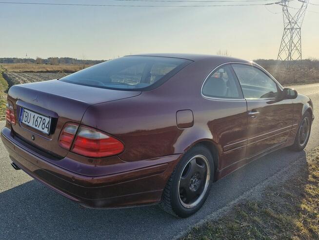 Mercedes CLK Tuczępy - zdjęcie 4