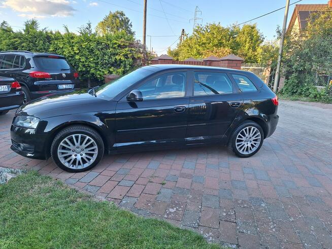 Audi A3 Klimatronik    Serwisowany Stan Bardzo Dobry Załom - zdjęcie 11
