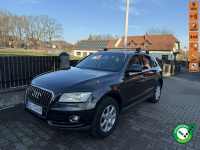 Audi Q5 2,0 TDI  150ps lift Quattro świeżo zarejestrowane z Nawigacją