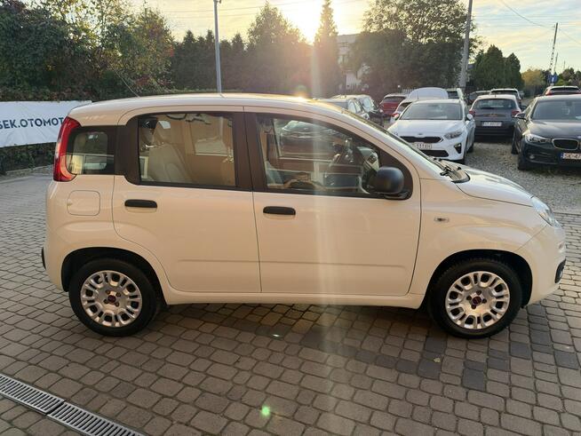 Fiat Panda 1,2 69KM  Klimatyzacja Orzech - zdjęcie 5