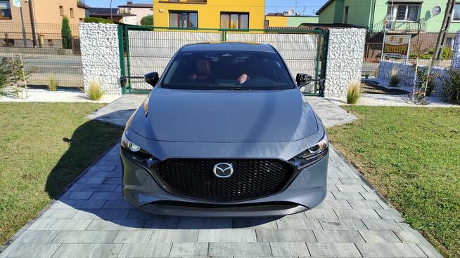 Carbon Version 2,5 benzyna automat 4x4 Turek - zdjęcie 7