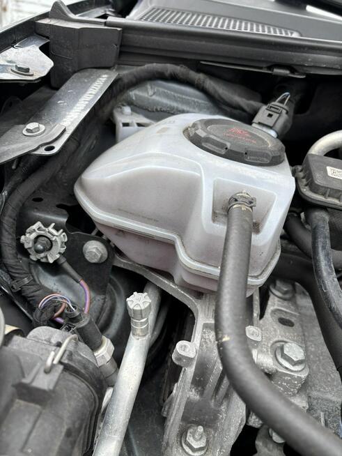 Seat Ibiza 1.0 TSI Gdańsk - zdjęcie 10