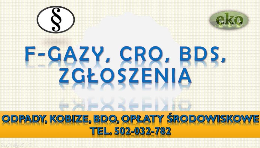 Baza Danych Sprawozdań, cena tel. 504-746-203. Obsługa firmy, fgazy Psie Pole - zdjęcie 5