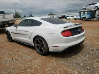 Ford Mustang GT, 2020, 5.0L, po gradobiciu Warszawa - zdjęcie 3