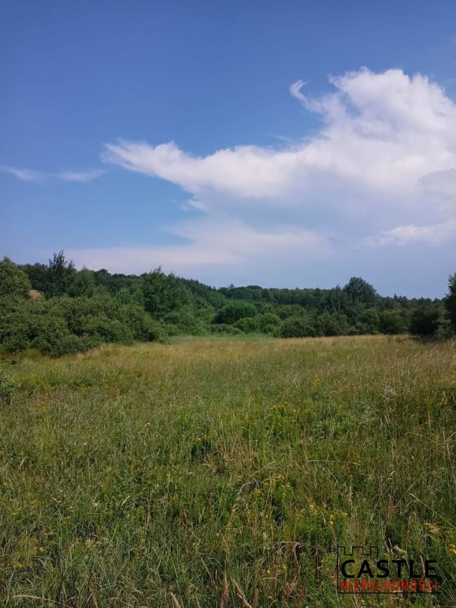 Działki budowlane 30km od Gdańska - 100/m2 - las! Olszanka - zdjęcie 11