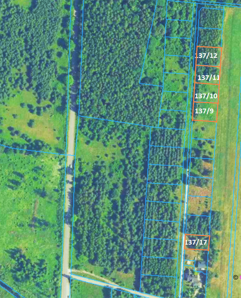5 działek, 25 km od Kielc, uzbrojone, w otoczeniu lasów Szczecno - zdjęcie 1