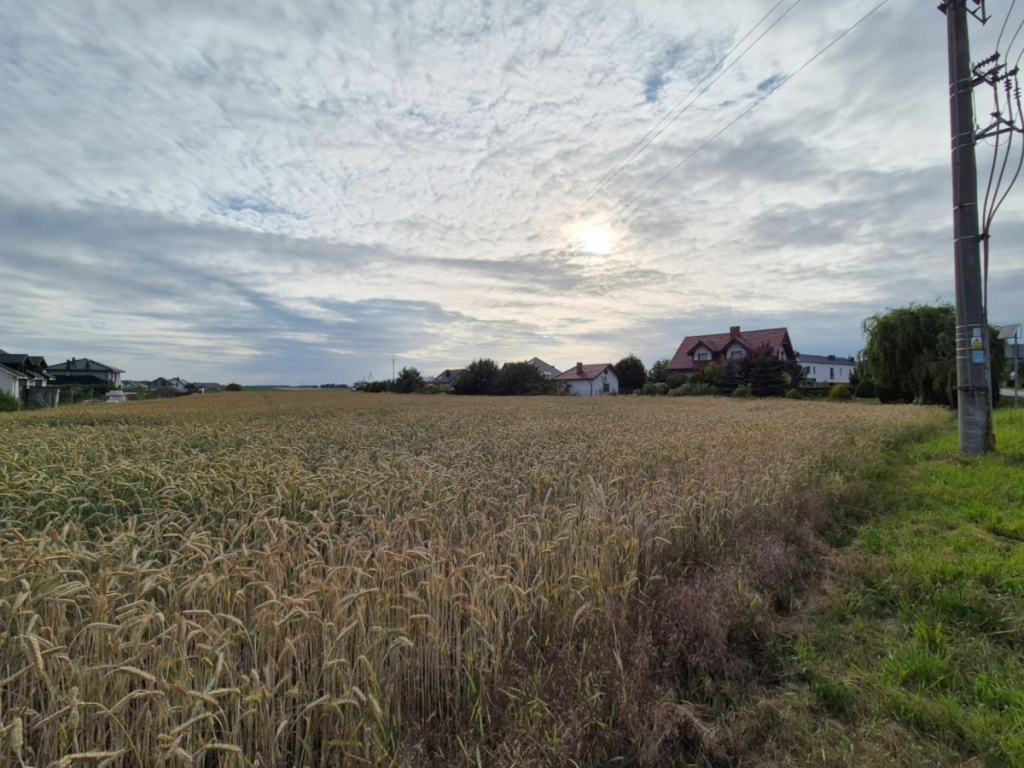 Działki budowlane z WZ - Dopiewo. Dopiewo - zdjęcie 10