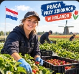 Praca magazynier Holandia Tarnów - zdjęcie 2