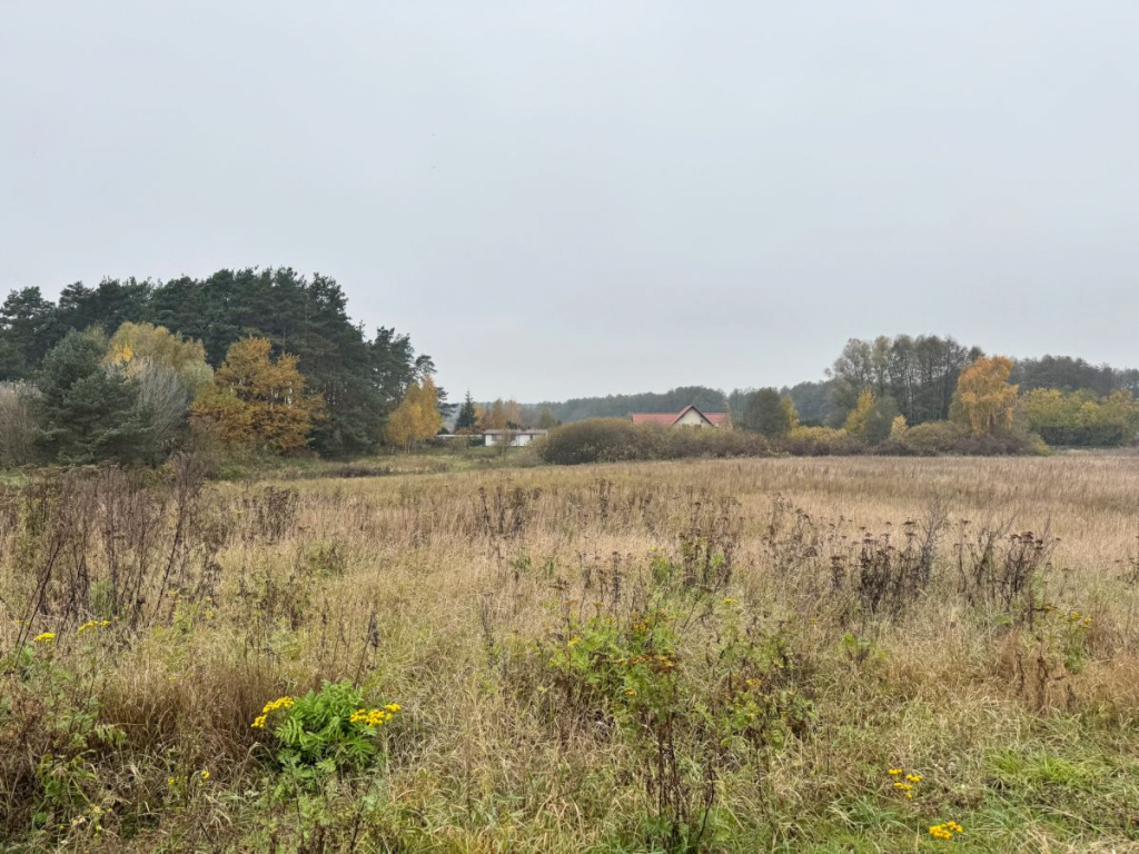 Grunt inwestycyjny. Idealny pod hale, biurowiec Sulnówko - zdjęcie 12