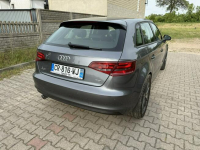 Audi A3 1,6TDI Poniec - zdjęcie 5