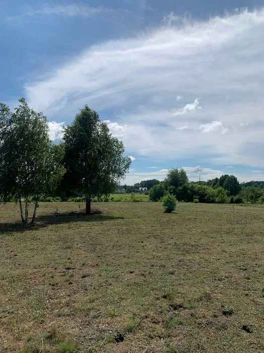 Działki Budowlane nad Wisłą Media: Prąd, Woda, Internet, Kanalizacja Płock - zdjęcie 7