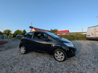 Ford KA 1.25 benzyna Bogata wersja Chempion League Kamienna Góra - zdjęcie 12