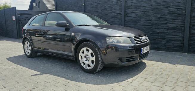 Audi A3 2005r 1.6 Benzyna PIĘKNA z klimatyzacją Brzoza - zdjęcie 1