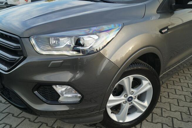 Ford Kuga 2019R 1.5 Benz. ST-Line I-wszy wł. Bezwypadkowy org. lakier Goczałkowice-Zdrój - zdjęcie 2