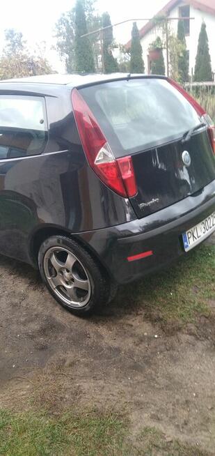 Fiat Punto Rzuchów - zdjęcie 7