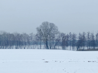 Jezioro, spokój i …..widok jak marzenie!!! Głodowo - zdjęcie 4