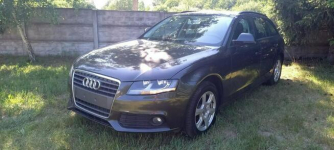 Audi A4 Płońsk - zdjęcie 12