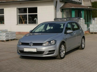 Volkswagen Golf 4 Motion Navi Klima 4 x 4 Nowy Sącz - zdjęcie 2