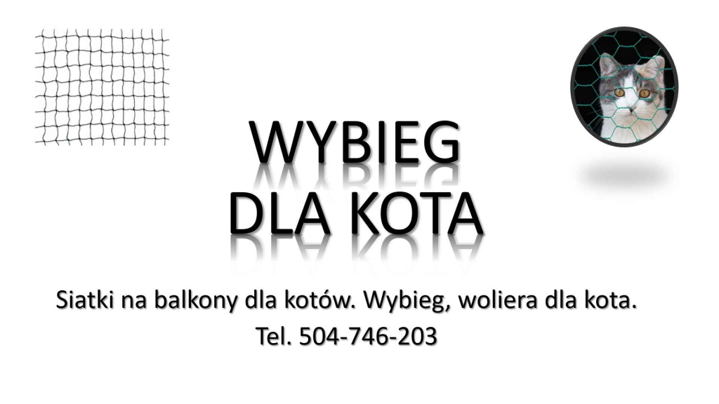 Woliera dla kota, cena i montaż, tel. 504-746-203  wybieg dla kota Psie Pole - zdjęcie 3