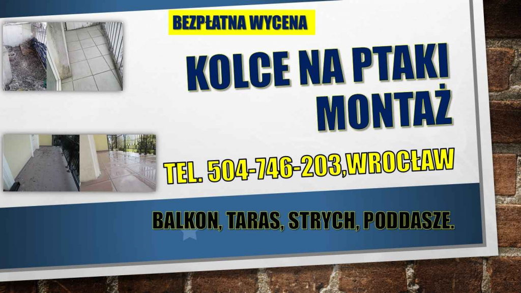 Czyszczenie po gołębiach, t. 504-746-203, sprzątanie ptasich odchodów Psie Pole - zdjęcie 6