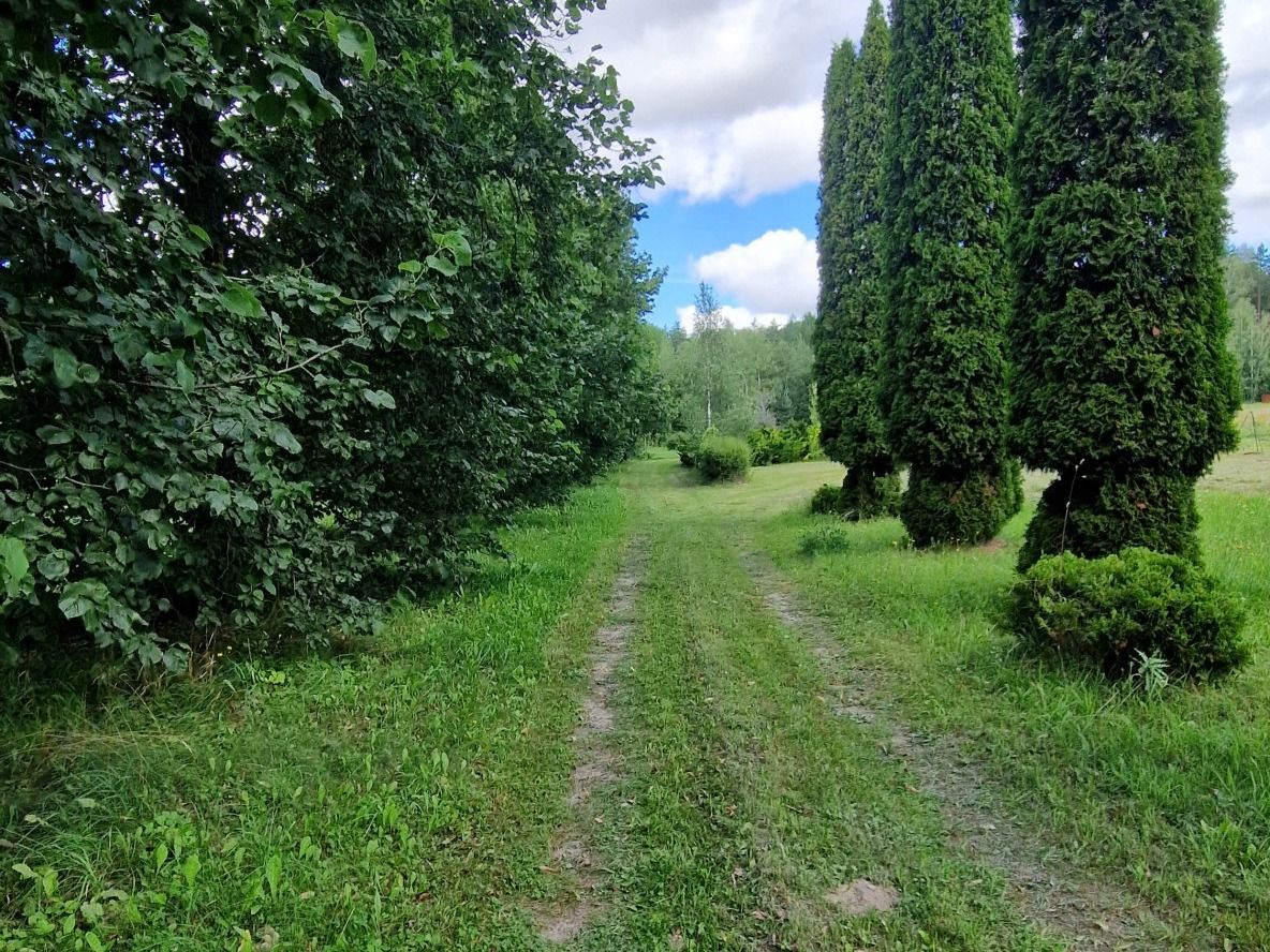 Działka budowlana Słójka Dziewiczy Ług Słójka - zdjęcie 6