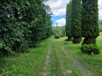 Działka budowlana Słójka Dziewiczy Ług Słójka - zdjęcie 6