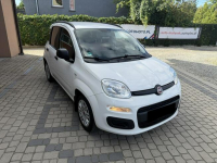 Fiat Panda 1,2 69KM  Klimatyzacja  1Właściciel Orzech - zdjęcie 3