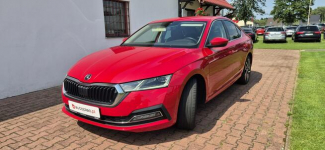Škoda Octavia SALON PL-STYLE-VIRTUAL-SERWIS Paproć - zdjęcie 3
