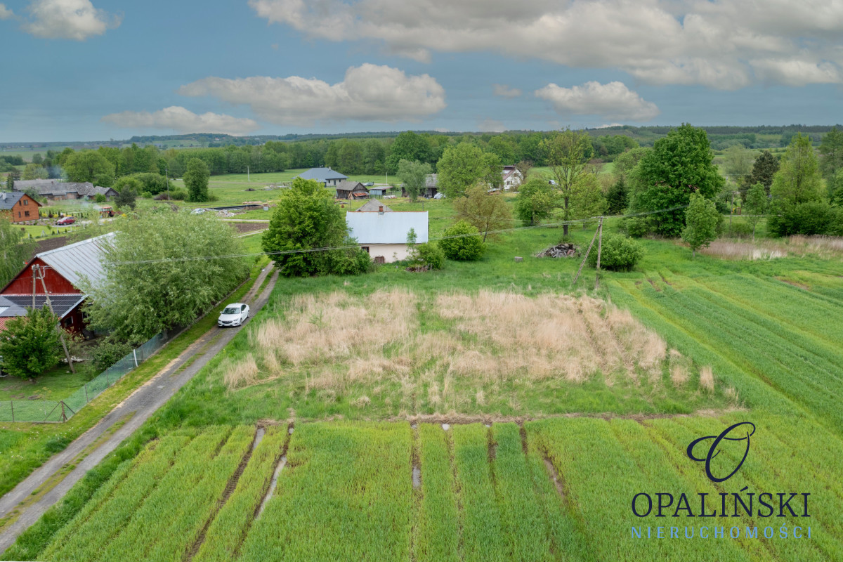 Cisza | Spokój | Las | Budowlana Czerce - zdjęcie 2