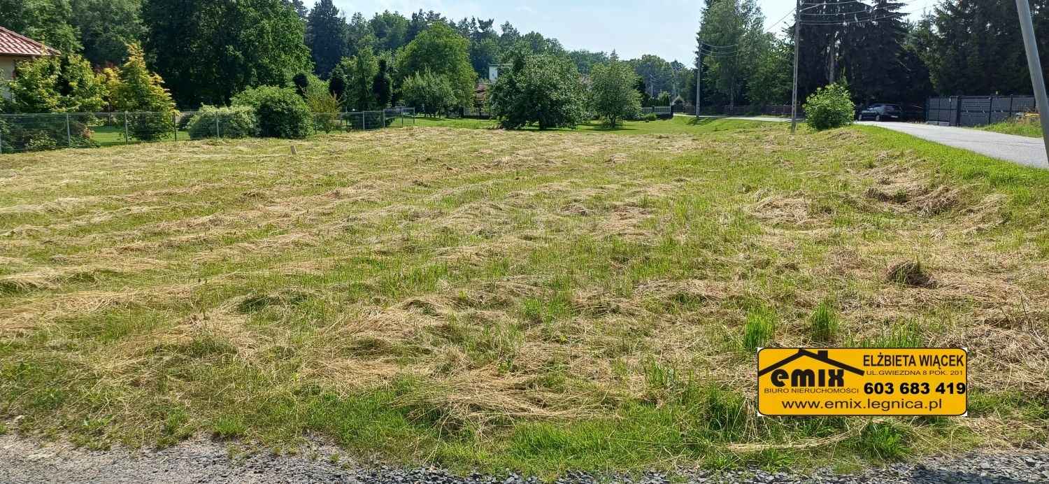 Działka budowlana 1400m2 za 140.000 zł. 5 km od Chojnowa Chojnów - zdjęcie 3