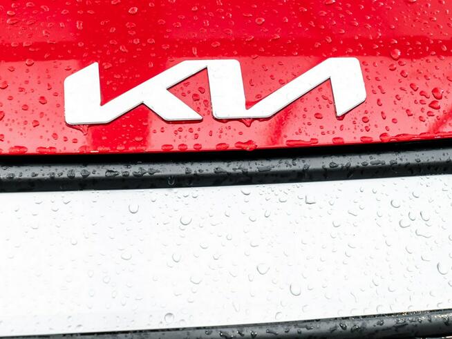 Kia Sportage SUV 1.6 T-GDI 7DCT 2WD M+Smart MHEV 150KM Salon Polska Poznań - zdjęcie 11