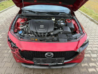 SkyPassion*FullLed*Kamera360*HeadUP*BOSE*Navi*NiskiPrzebieg*Zadbany Sośnicowice - zdjęcie 8