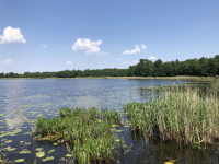 Działki budowlane / Osada Talki / Jezioro Pamerek Talki - zdjęcie 4