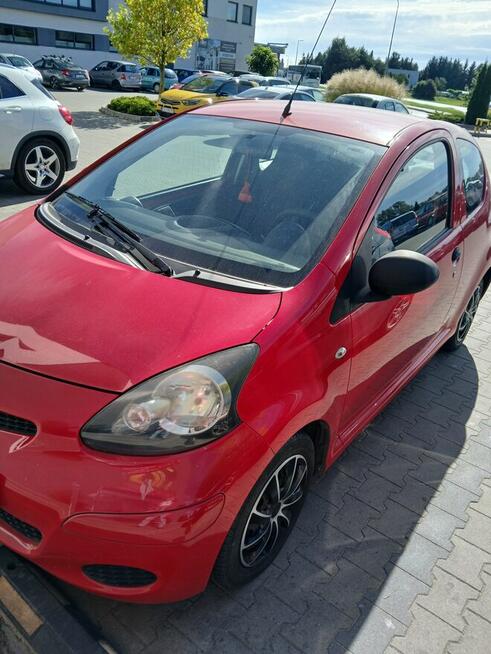 Sprzedam Kłoda - zdjęcie 7