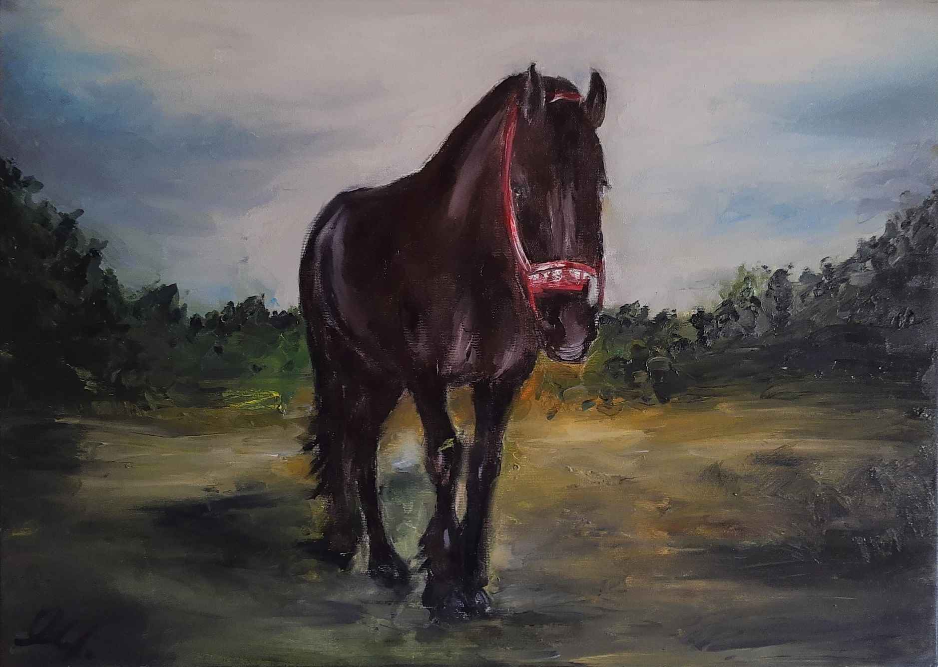 Obrazy Na Zamówienie Szczecin - zdjęcie 10