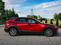 Mazda CX-30 Sadlno - zdjęcie 4
