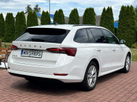 Octavia 2.0 TDI | 2023 | Serwis ASO | Salon PL | 116 KM | automat Nowe Iganie - zdjęcie 4