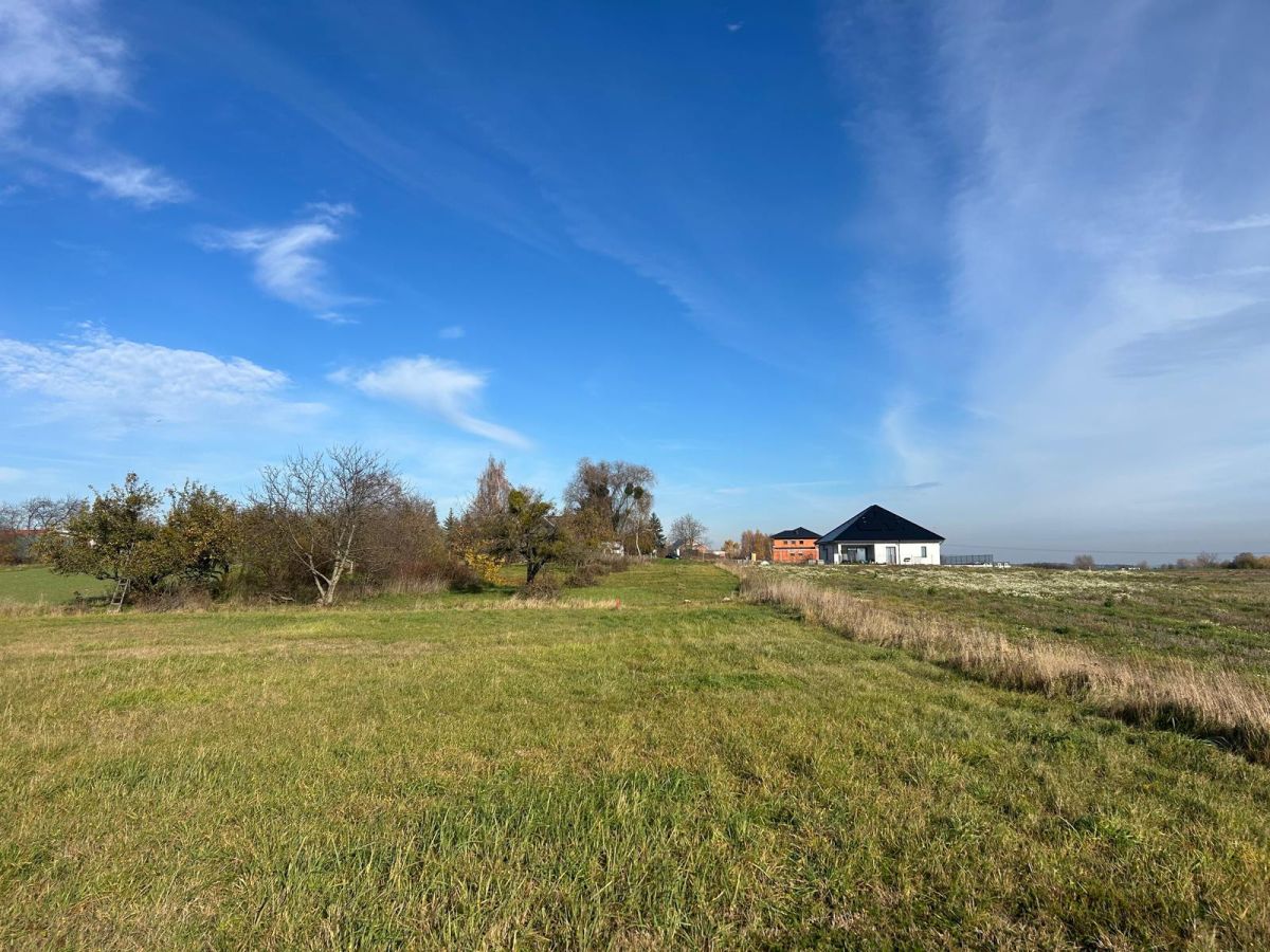 Działka w zielonej części miasta – idealna pod dom Poznań - zdjęcie 1