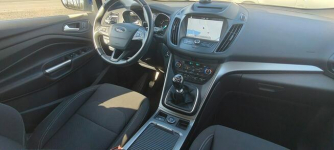 Ford Kuga Super stan bogata wersja. Goczałkowice-Zdrój - zdjęcie 9
