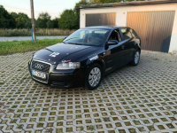 Audi a 3 8p 1.9tdi bxe Starogard Gdański - zdjęcie 2